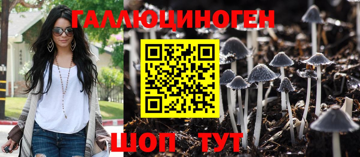 Галлюциногенные грибы прущие грибы Сургут